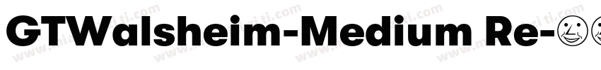 GTWalsheim-Medium Re字体转换